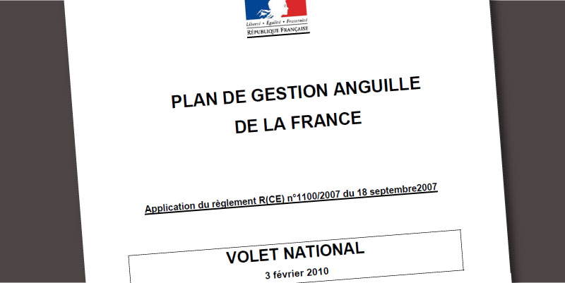 La France a transmis son deuxième rapport triennal de mise en oeuvre du Plan de gestion de l’anguille