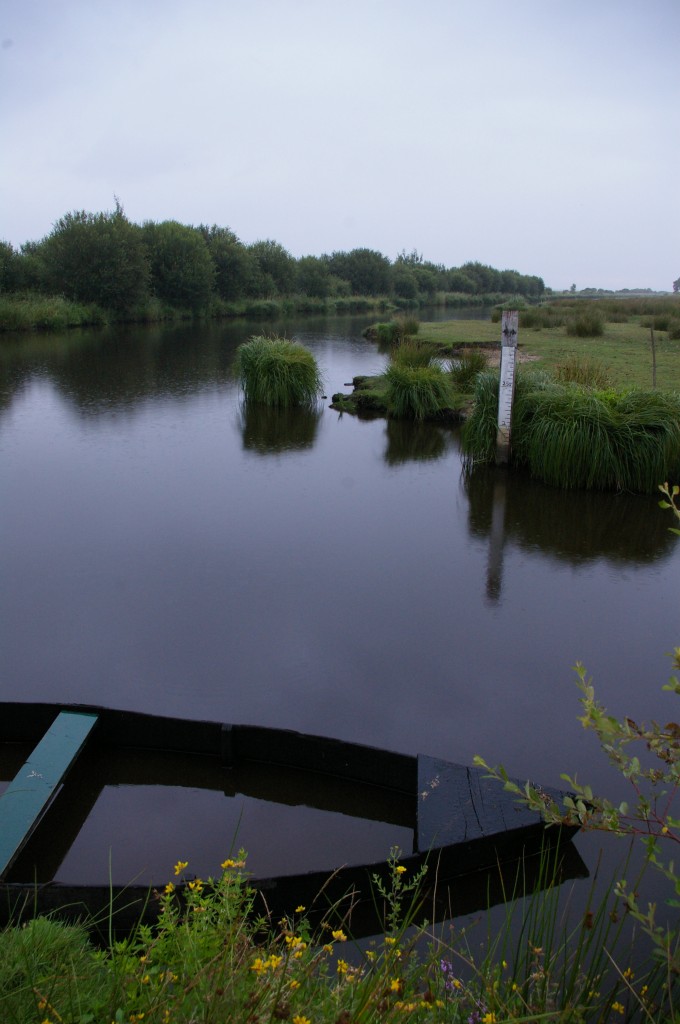 Résultats encourageants des opérations d’ouvertures d’ouvrages pour l’anguille des marais de Brière