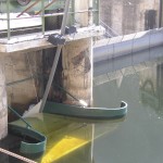 Glissière de dévalaison du barrage de Poutès