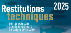 Icon of RT 2025 - Loire Aval - Loire Moyenne - Maine - Vienne - Cher