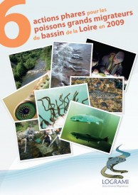 LOGRAMI, 2010 - 6 actions phares pour les poissons grands migrateurs du bassin de la Loire en 2009.pdf