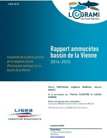 Icon of Rapport ammocètes bassin de la Vienne 2014-2015