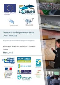 Tableaux de bord Migrateurs du Bassin Loire - Bilan 2015