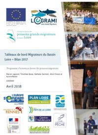 Tableaux de bord Migrateurs du Bassin Loire - Bilan 2017
