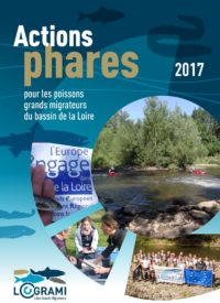 Actions Phares 2017