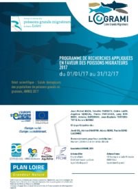 Recueil de données biologiques sur les populations de poissons grands migrateurs du bassin de la Loire en 2017