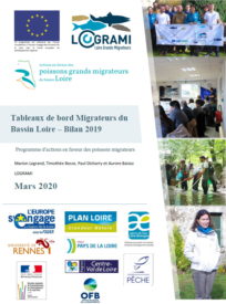 Tableaux de bord Migrateurs du Bassin Loire – Bilan 2019