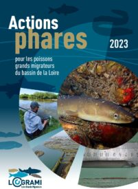 Actions Phares 2023