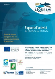 Recueil de données biologiques sur les poissons migrateurs du bassin Loire en 2014
