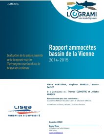 Rapport ammocètes bassin de la Vienne 2014-2015