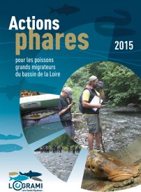 Actions Phares 2015