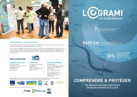 Icon of LOGRAMI, Comprendre & protéger les poissons migrateurs du bassin versant de la Loire