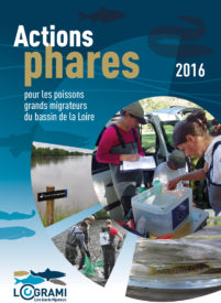 Actions Phares 2016