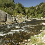 Radier sur l'Allier en amont de St Etienne du Vigan (Haute-Loire)