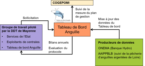 Rôle du Tableau de bord Anguille dans l’accompagnement du programme d’arrêt des turbines en Mayenne