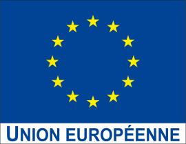 Ce projet est co-financé par l'Europe dans le cadre du plan Loire Grandeur Nature. L'Europe s'engage dans le bassin de la Loire avec le Fonds européen de développement régional (FEDER).