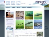 Site www.migrateurs-loire.fr