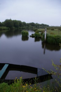 Marais de Brière