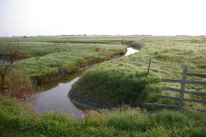 Marais breton