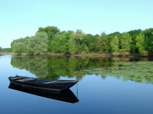 Boire de Savennières, Loire-Atlantique