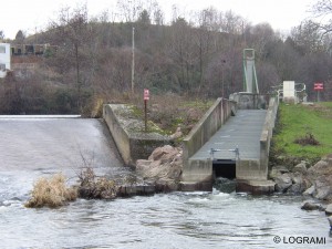 Passe à poissons du barrage des Forges de Gueugnon