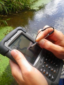 Numérisation des habitats