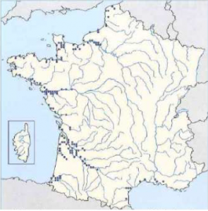 Aire de répartition du flet commun en France (Atlas des poissons d'eau douce)