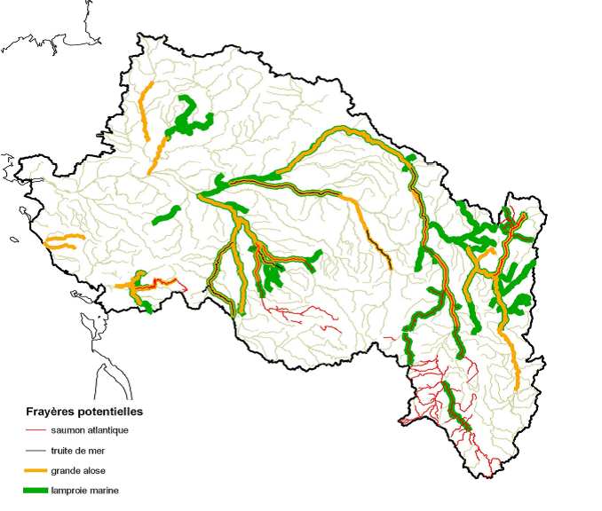 Localisation des frayères inventoriées des espèces de poissons amphihalins dans le cadre de l'article R.432-1-1du Code de l'environnement.