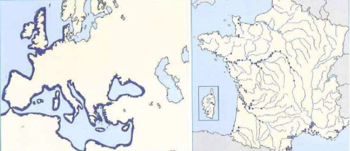 Aire de répartition du mulet porc, Atlas des poissons d'eau douce.