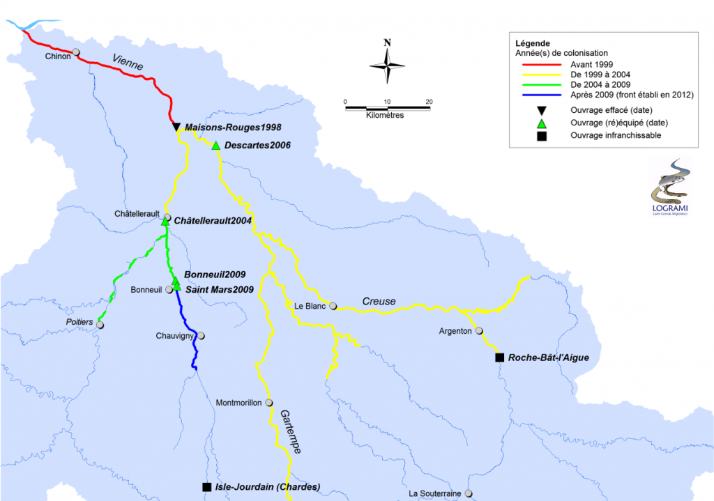 Évolution du front de colonisation de la lamproie marine sur le bassin de la Vienne en relation avec l’évolution de la continuité piscicole de 1998 à 2012 (Sources LOGRAMI).