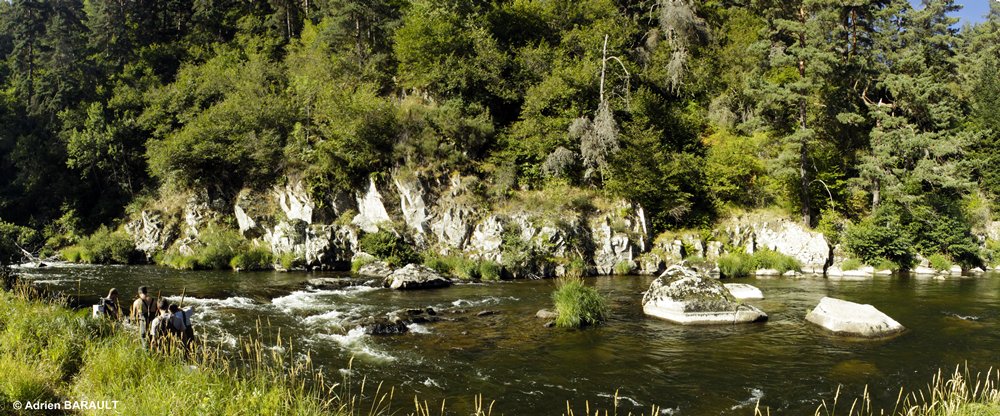 pêche tacons dans les gorges du Haut-Allier (Haute-Loire)