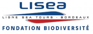 Logo Fondation LISEA