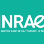 Logo INRAE