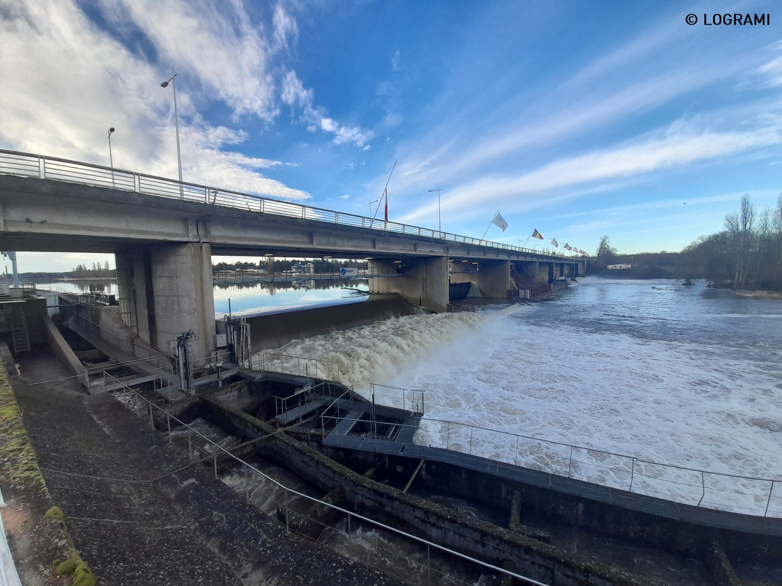 Migration 2023 : Premiers saumons atlantique observés sur l’Allier et la Sioule