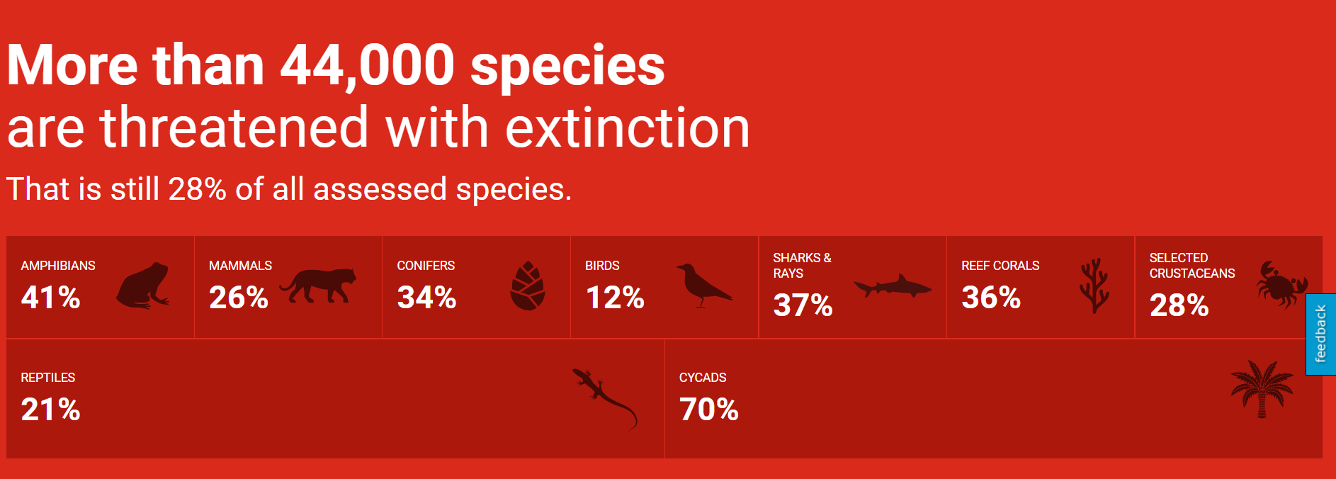 Mise à jour 2023 de la liste rouge des espèces menacées dans le monde (UICN) : la population de saumon de Loire-Allier classée en danger d’extinction
