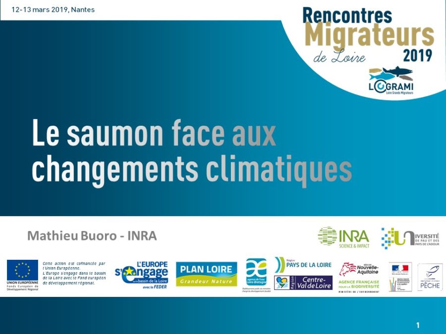 Le saumon face aux changements climatiques